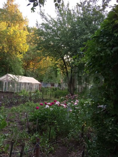 Участок 6,9 сот. (СНТ, ДНП)