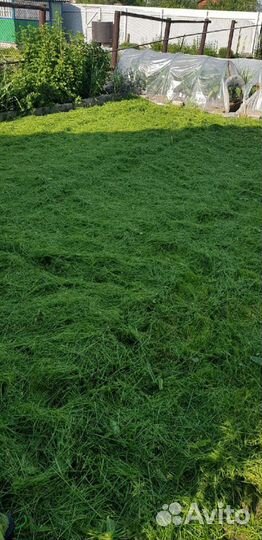 Покос травы и спил деревьев