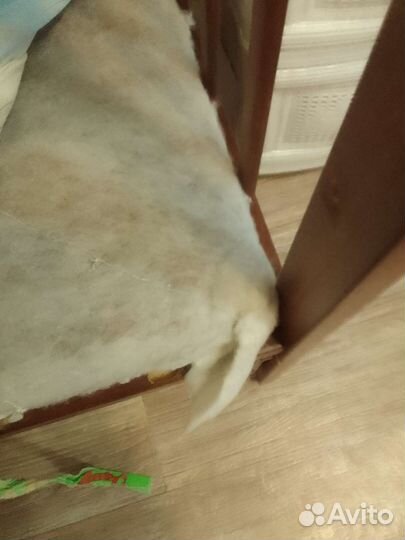 Детская кроватка с маятником