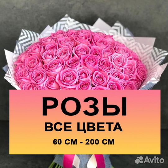 Букеты из 51 розы, 101 роза, 25 роз с доставкой Мо