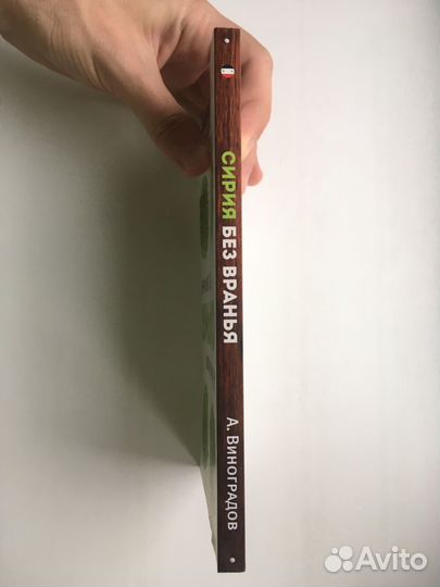 Сирия без вранья (Виноградов)