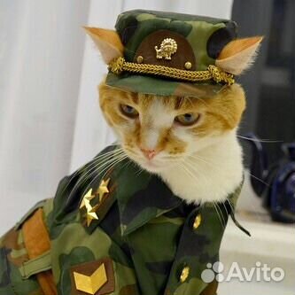 Работа с судебными приставами-исполнителями