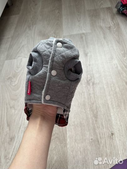 Вещи для собак