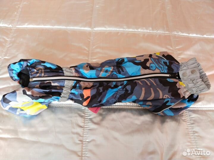 Комбинезон для таксы мальчика