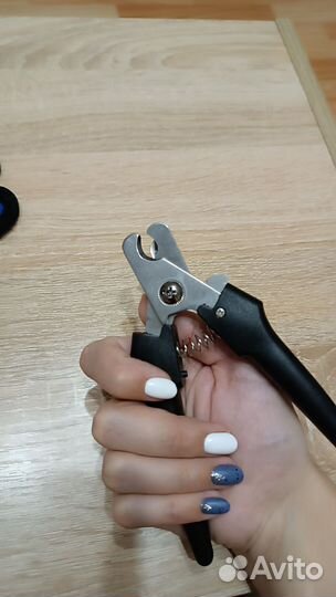 Когтерез и перчатка для вычесывания собаки