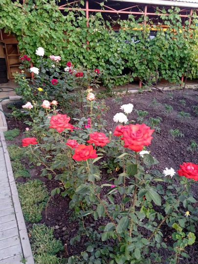 Дом 170 м² на участке 7 сот.