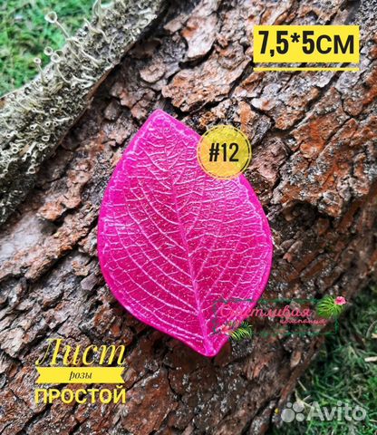 Молд земляники, одуванчика, розы и др