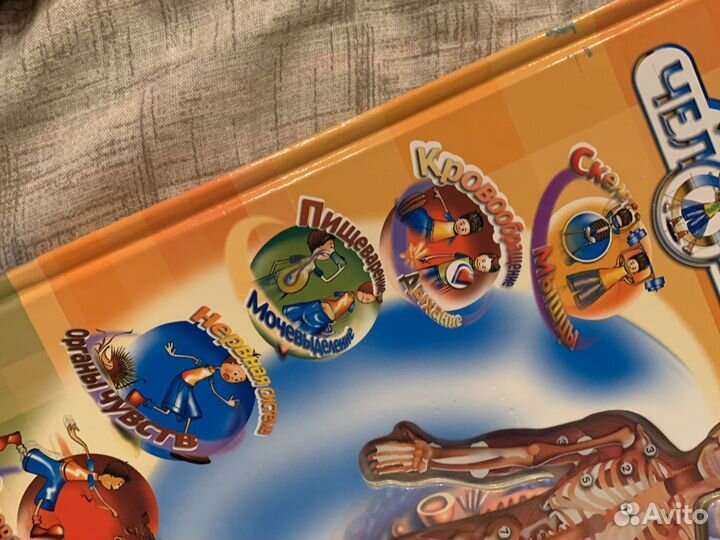 Книга про анатомию человека «Тело Человека»