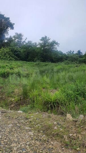 Участок 30 сот. (ИЖС)