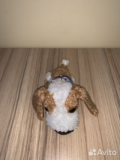 The dog artlist collection