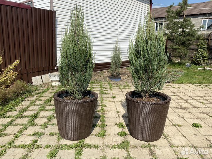 Кашпо, вазон 130л. плетеный из ротанга