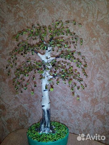 Береза орхидея - 600 мимоза - 800 новогодняя-1000