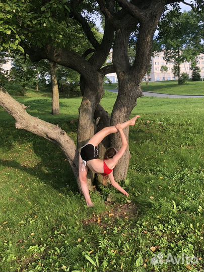 Тренер по гимнастике/акробатике/расстяжке