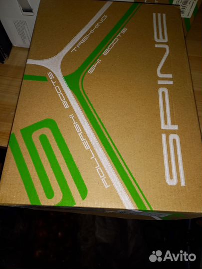 Беговые лыжи