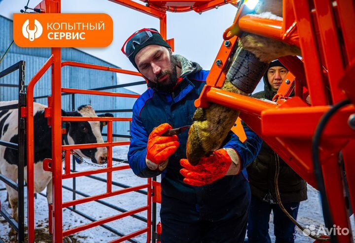 Помощник мастера