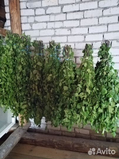 Веники для бани