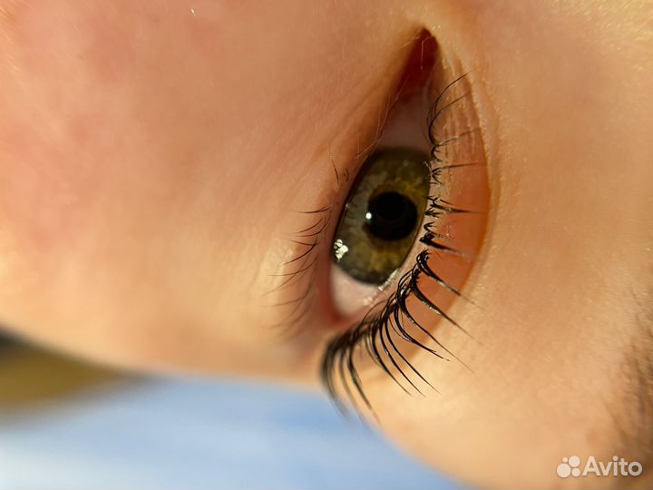 Ламинирование ресниц, брови