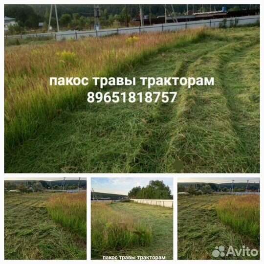 Вспашка земли трактором