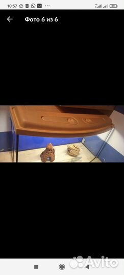 Большой аквариум