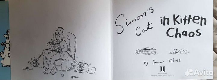 Книга Simon's Cat in Kitten chaos 3