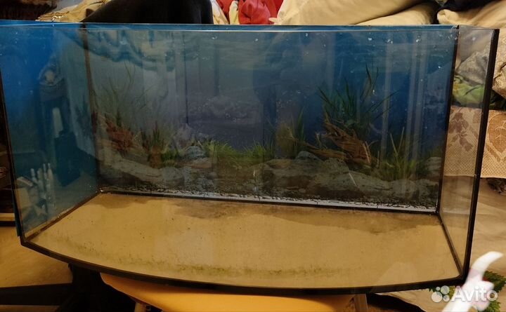 Аквариум панорамный 45л. Бу