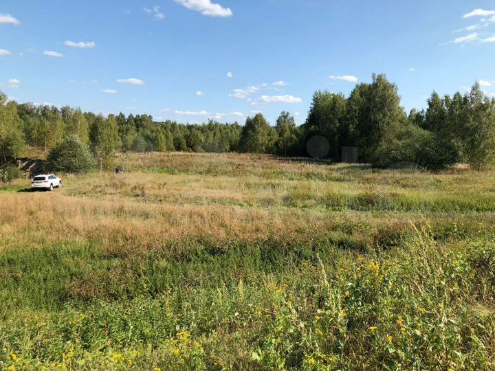 Участок 3,9 га (СНТ, ДНП)