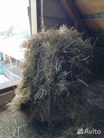 Сено в тюках