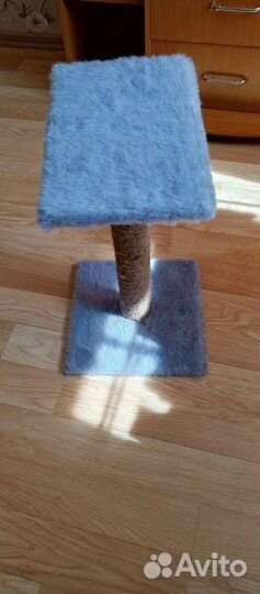 Когтеточка