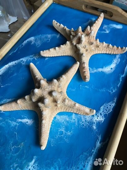 Морская звезда