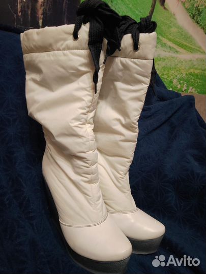 Сапоги женские
