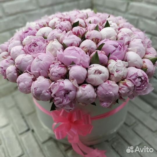 Пионы / пионы в коробке / пионы с доставкой