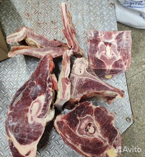 Рыба свежемороженая