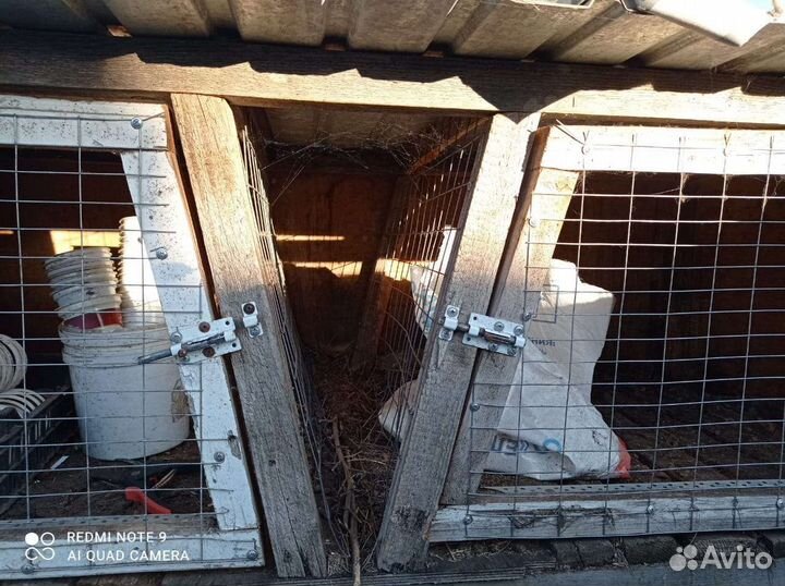 Клетка для кроликов