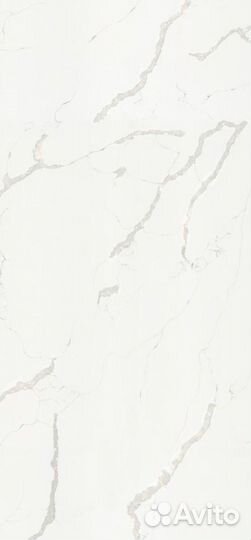 Стеновая панель SPC
