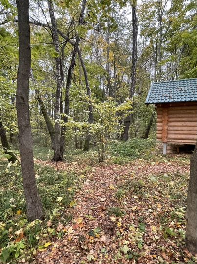 Участок 10 сот. (ИЖС)