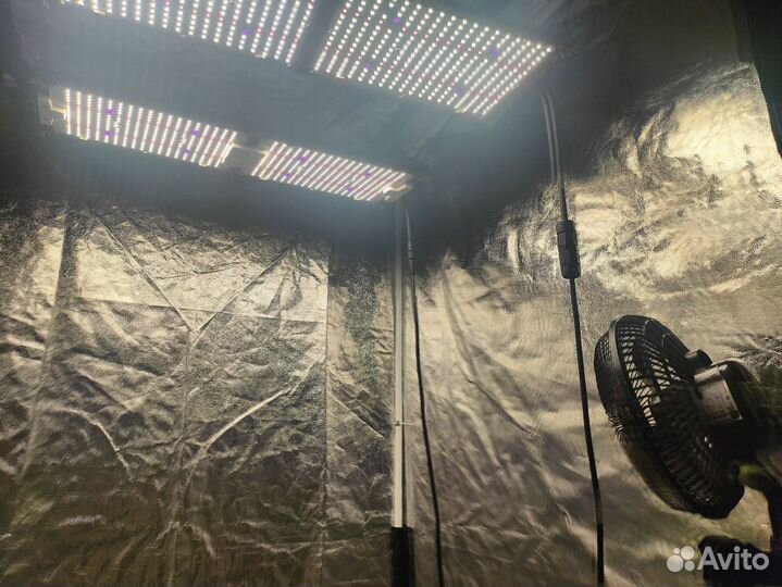 Готовый гроубокс под ключ