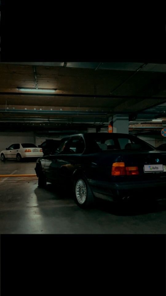 BMW 5 серия: фото владельца