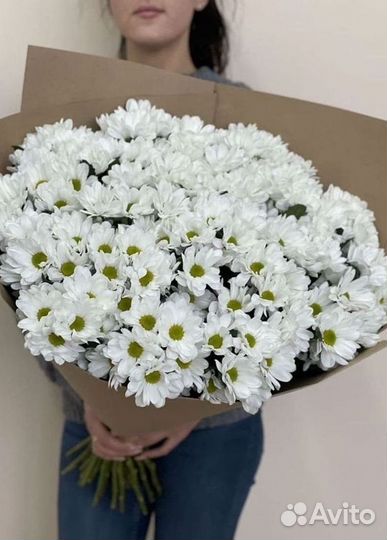 Хризантема Букеты с доставкой