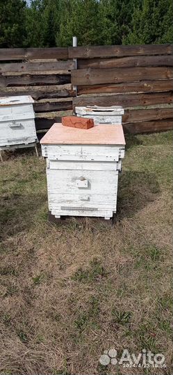 Улей для пчел бу