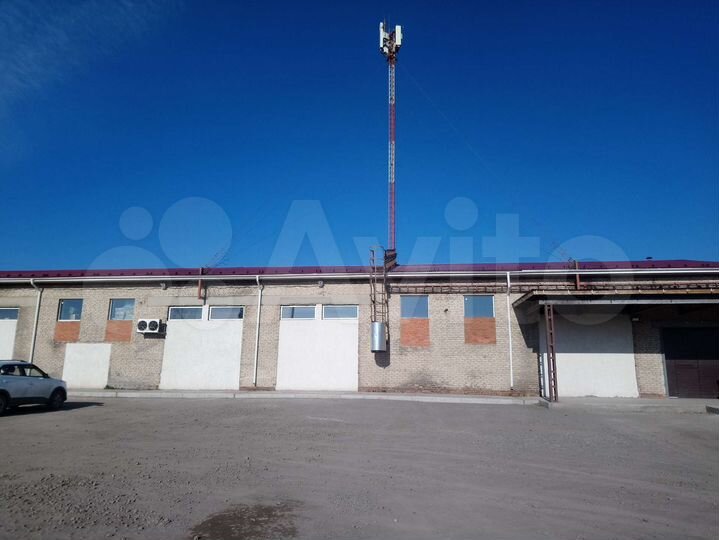 Торговая площадь, 1200 м²