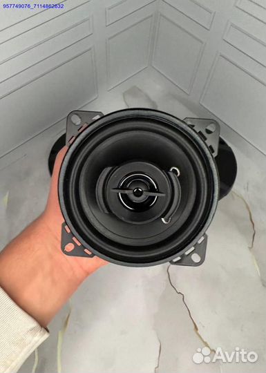 Новая Автомобильная акустика Pioneer TS-A1095 500W