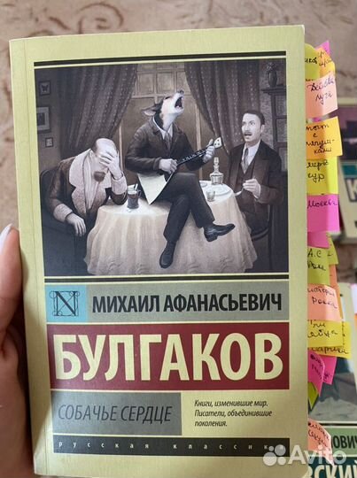 Книги по литературе 10-11 класс