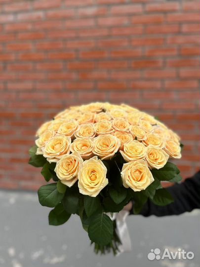 Розы Голландские свежие Букет 51 роза