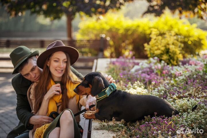 Такса вязка