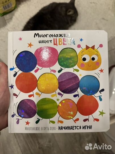 Многоножка ищет цвета