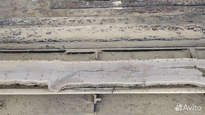 Слэб дуба и тополь