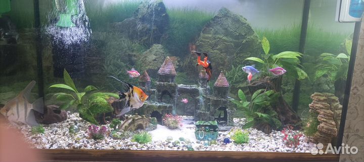 Аквариум с тумбой бу