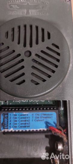 Манок на гуся электронный