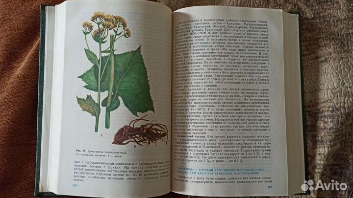 Фармакогнозия