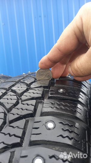 Tigar Sigura Stud 175/65 R14 82T